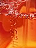 Liquid Soap_P1210918